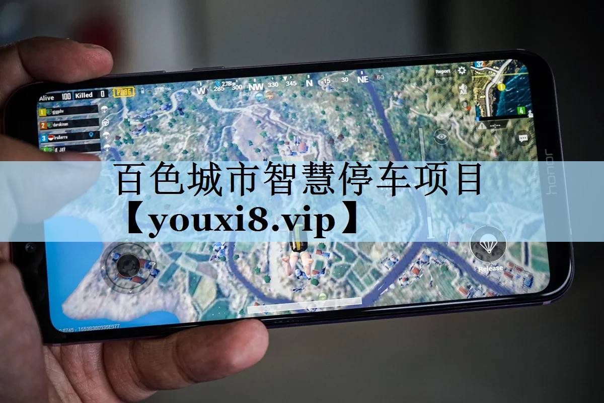 百色城市智慧停车项目