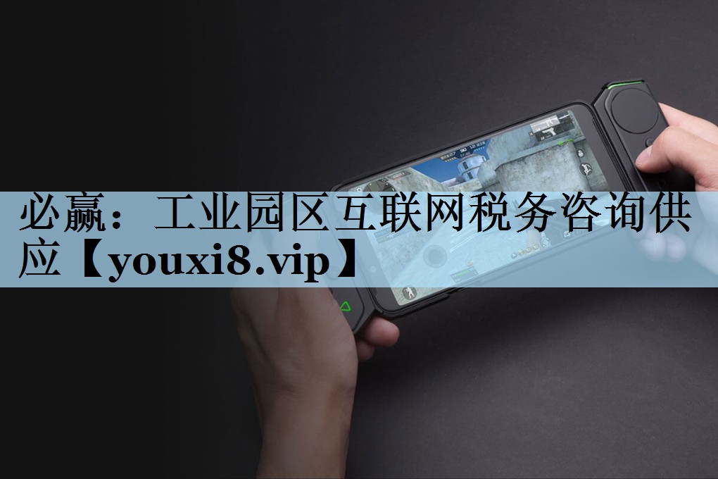 必赢：工业园区互联网税务咨询供应