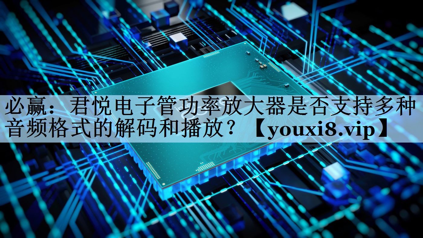 必赢：君悦电子管功率放大器是否支持多种音频格式的解码和播放？