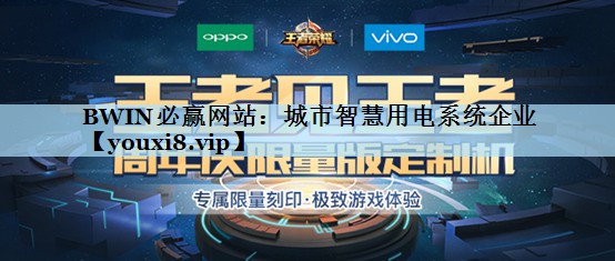 BWIN必赢网站：城市智慧用电系统企业