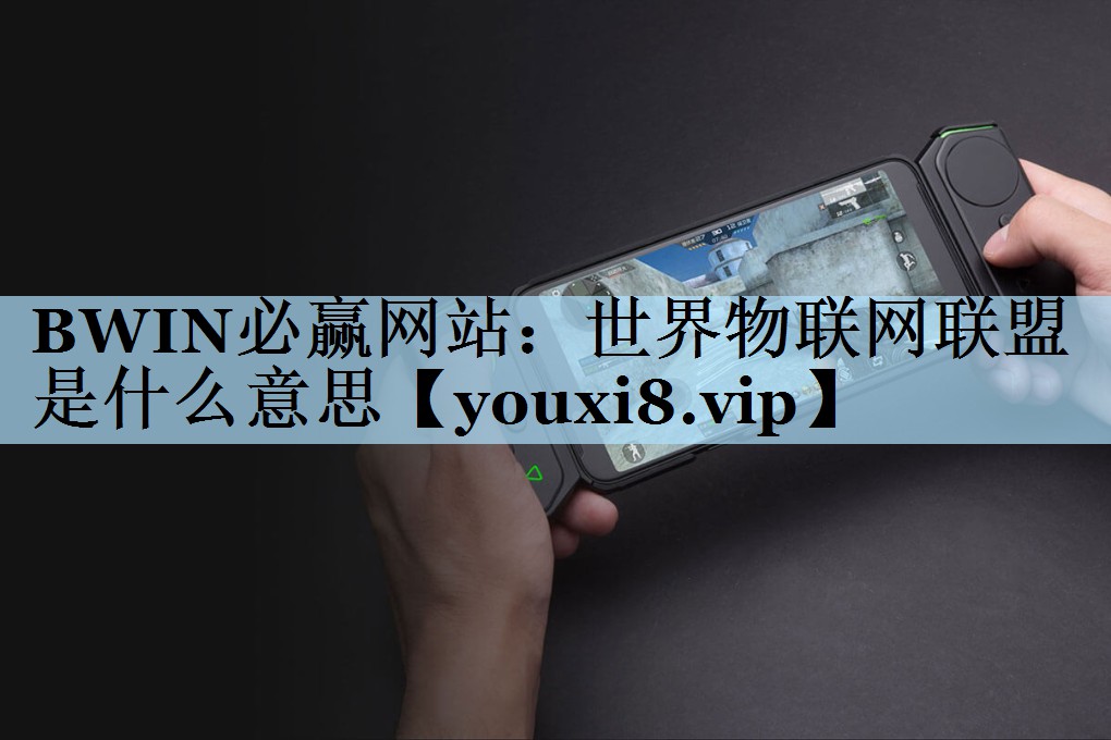 BWIN必赢网站：世界物联网联盟是什么意思