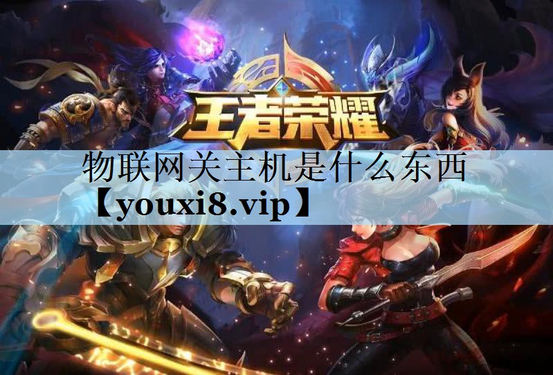 物联网关主机是什么东西