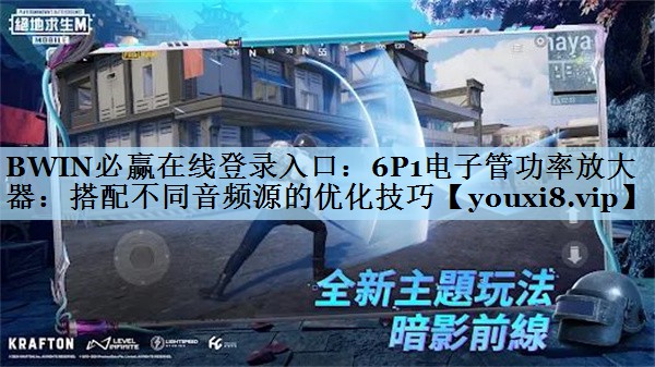 BWIN必赢在线登录入口：6P1电子管功率放大器：搭配不同音频源的优化技巧