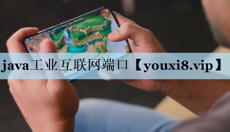 java工业互联网端口