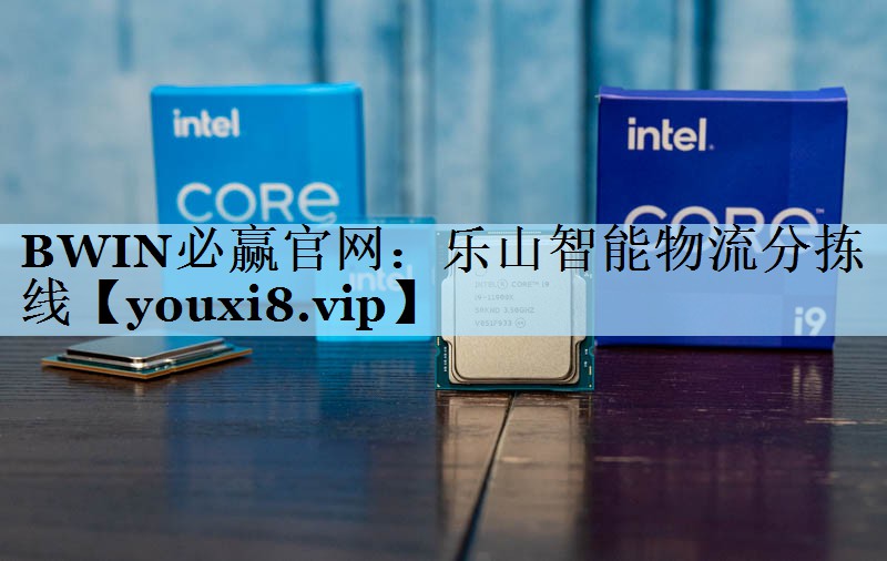 BWIN必赢官网：乐山智能物流分拣线