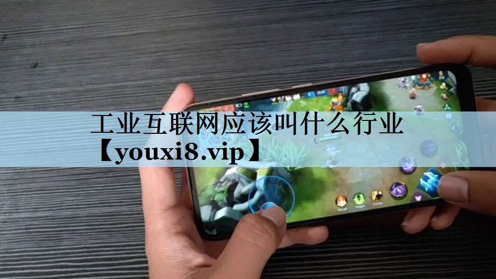 工业互联网应该叫什么行业