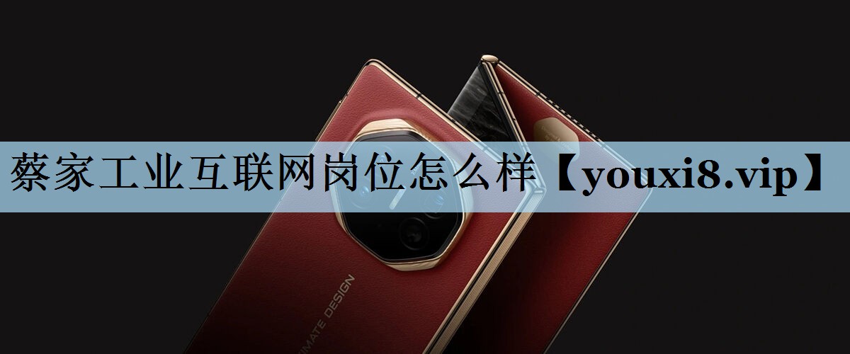 <strong>蔡家工业互联网岗位怎么样</strong>