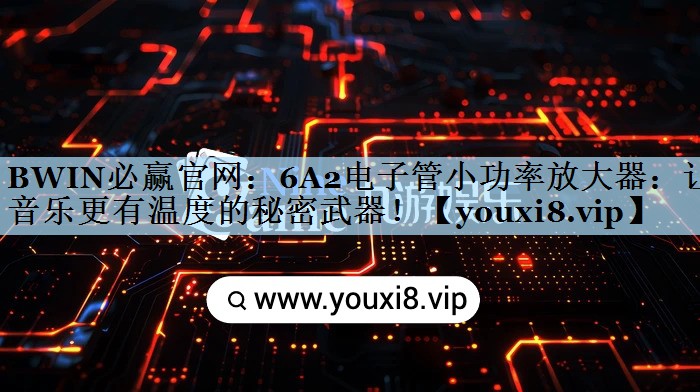 BWIN必赢官网：6A2电子管小功率放大器：让音乐更有温度的秘密武器！