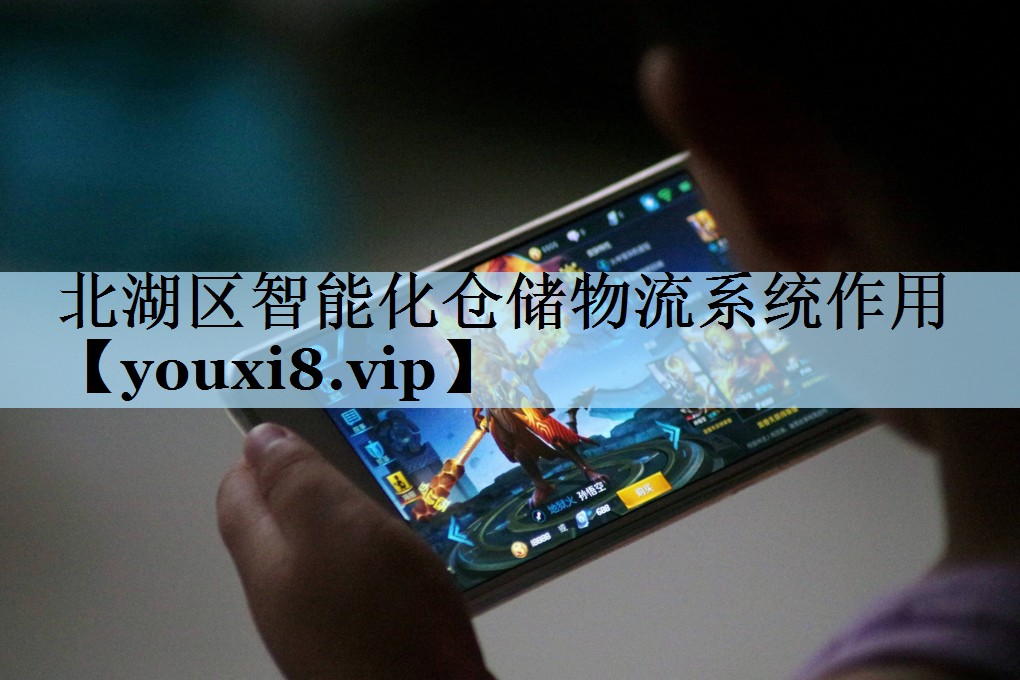 北湖区智能化仓储物流系统作用 北湖区智能化仓储物流系统作用