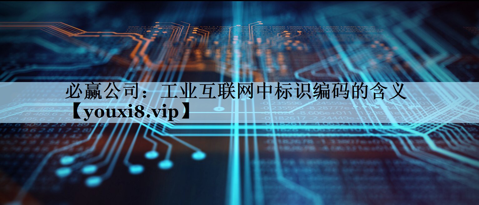 工业互联网中标识编码的含义 工业互联网中标识编码的含义