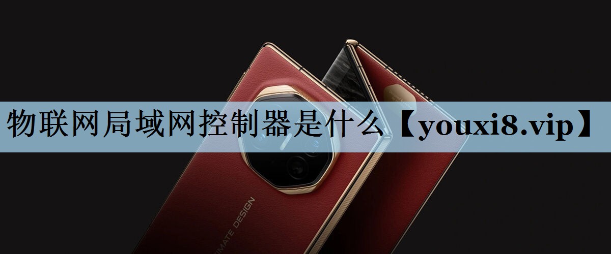 物联网局域网控制器是什么 物联网局域网控制器是什么