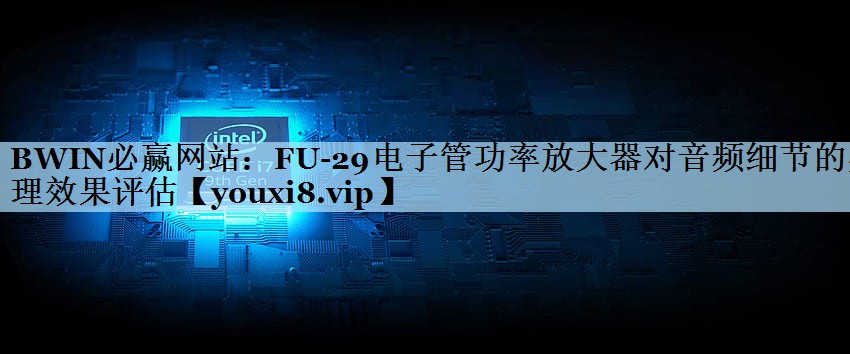 FU-29电子管功率放大器对音频细节的处理效果评估 FU-29电子管功率放大器对音频细节的处理效果评估