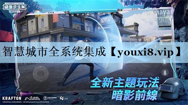 智慧城市全系统集成
