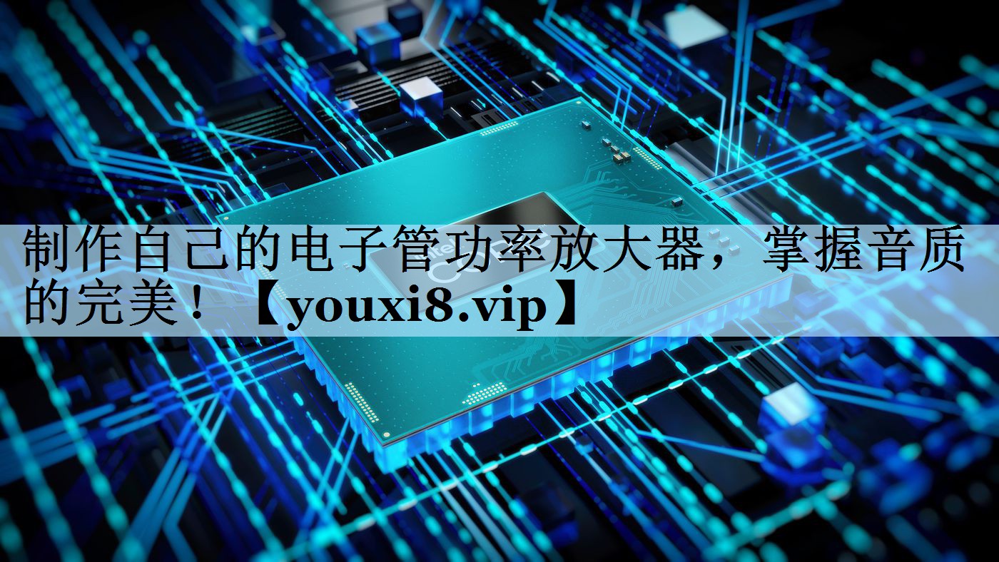 制作自己的电子管功率放大器,掌握音质的完美! 制作自己的电子管功率放大器,掌握音质的完美!