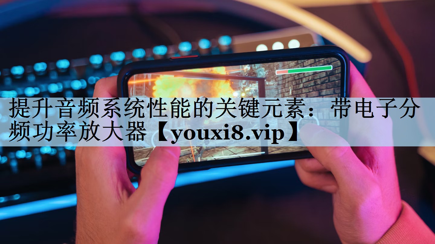 提升音频系统性能的关键元素:带电子分频功率放大器 提升音频系统性能的关键元素:带电子分频功率放大器