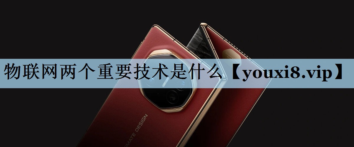 物联网两个重要技术是什么 物联网两个重要技术是什么