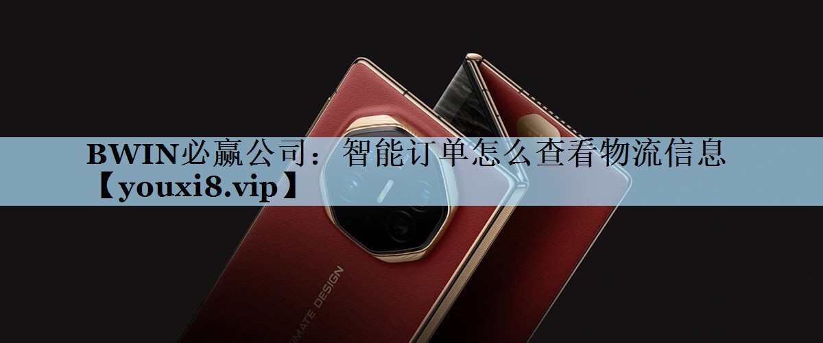智能订单怎么查看物流信息