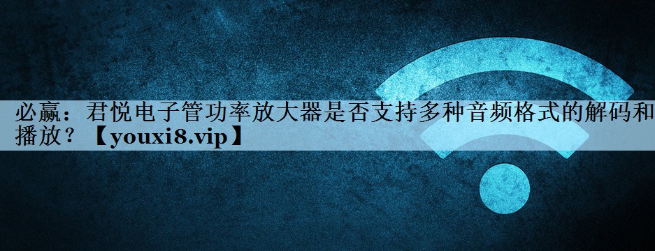 君悦电子管功率放大器是否支持多种音频格式的解码和播放? 君悦电子管功率放大器是否支持多种音频格式的解码和播放?