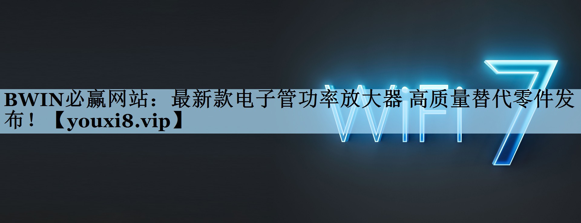 最新款电子管功率放大器 高质量替代零件发布! 最新款电子管功率放大器 高质量替代零件发布!