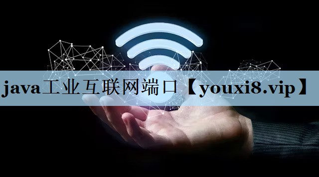 java工业互联网端口 java工业互联网端口