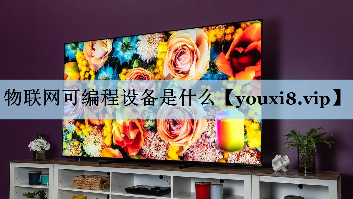 物联网可编程设备是什么 物联网可编程设备是什么