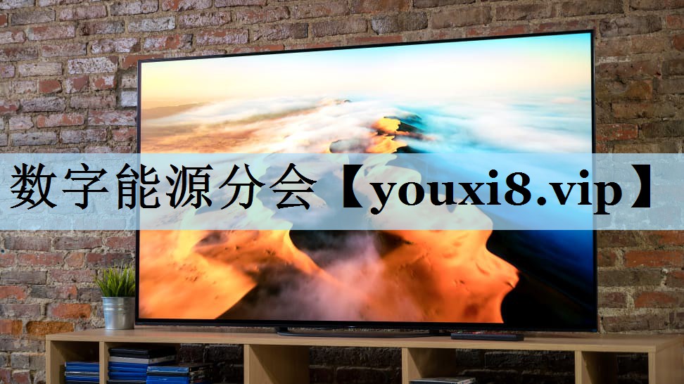 数字能源分会