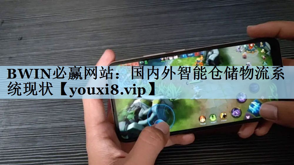 国内外智能仓储物流系统现状 国内外智能仓储物流系统现状