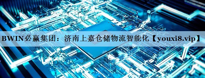 济南上嘉仓储物流智能化