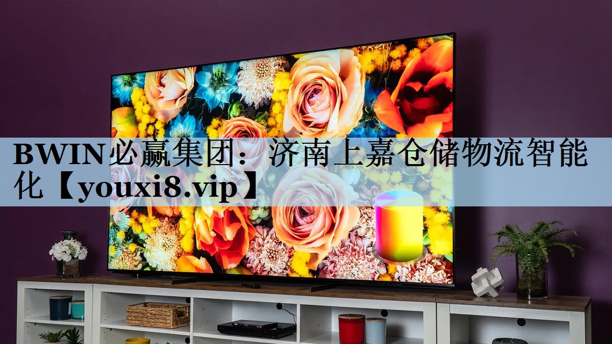 济南上嘉仓储物流智能化